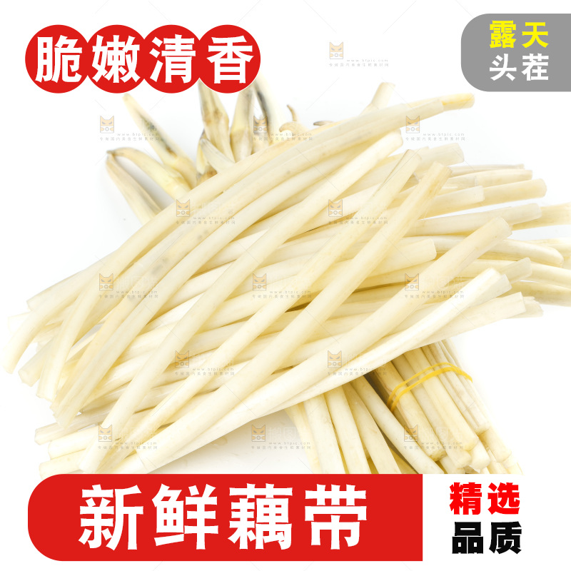 白底上的新鲜藕带