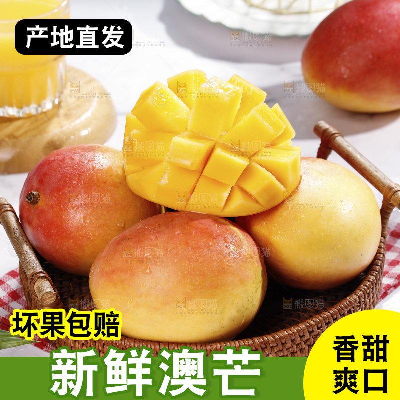 浅底上的澳芒