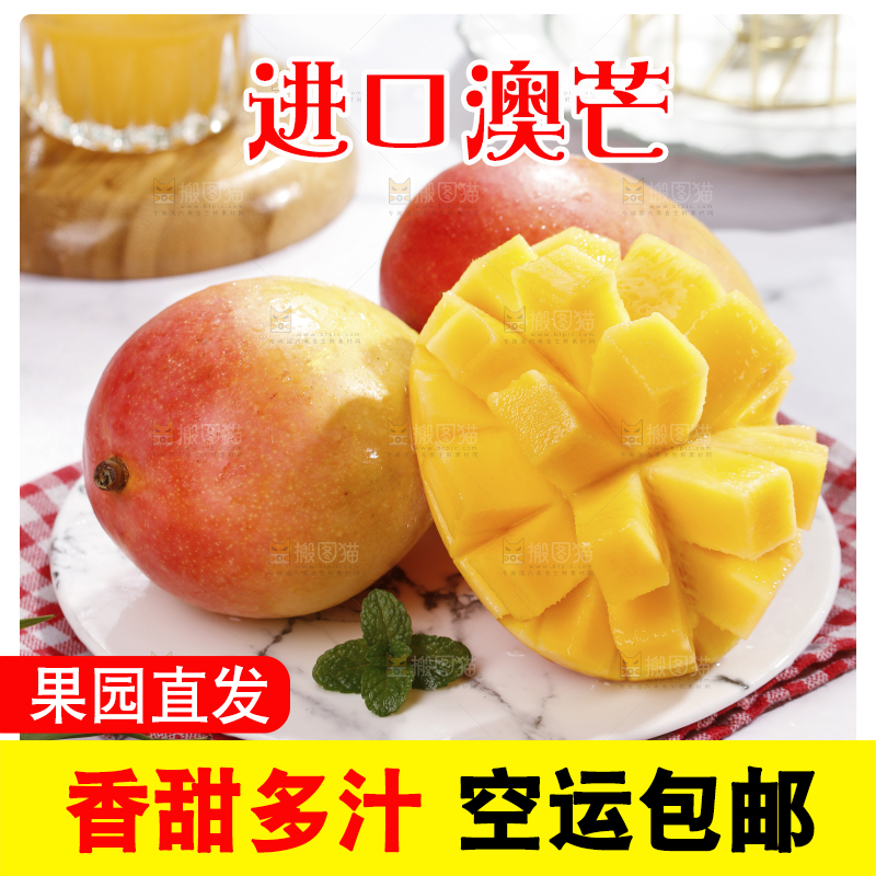 浅底上的澳芒