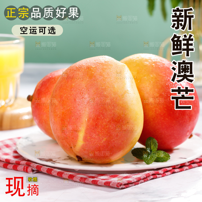 浅底上的澳芒