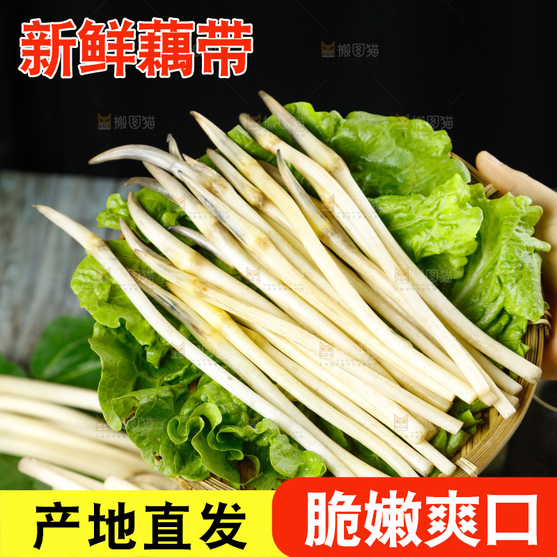 深底上的藕带