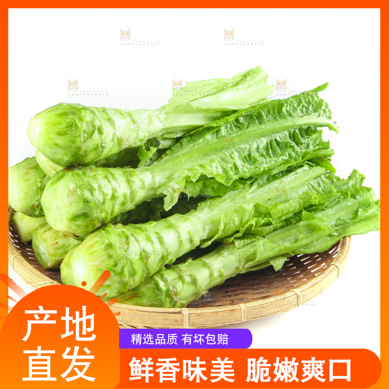 白底上的新鲜莴笋