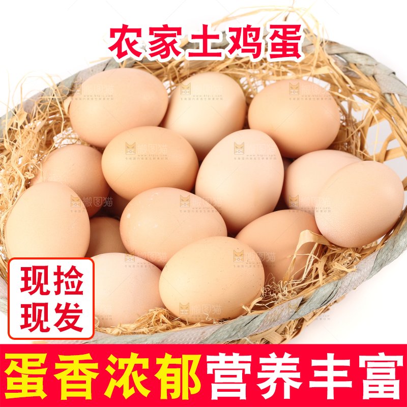 白底上的土鸡蛋