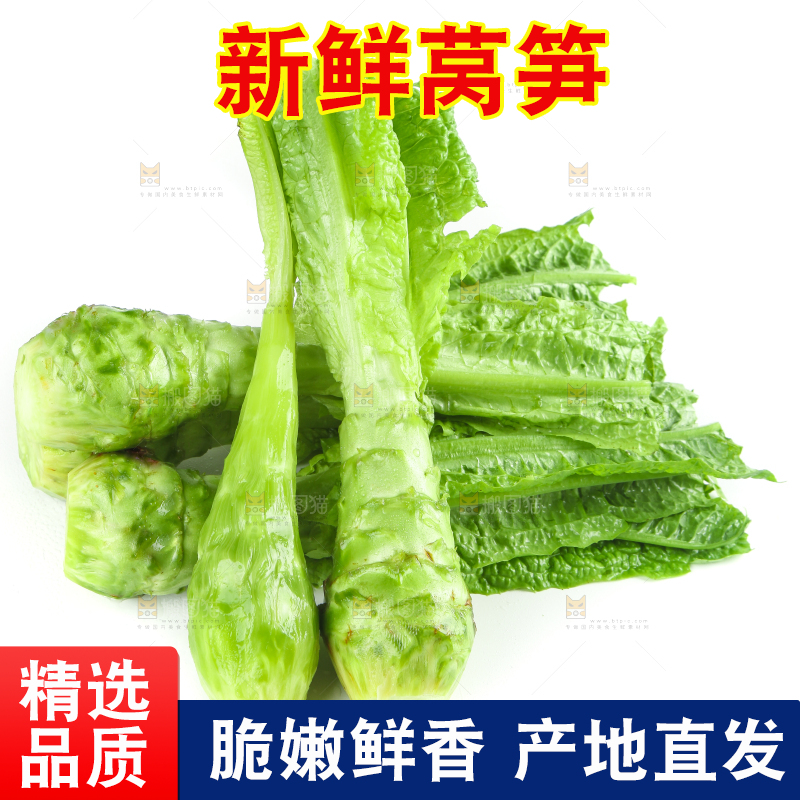 白底上的新鲜莴笋