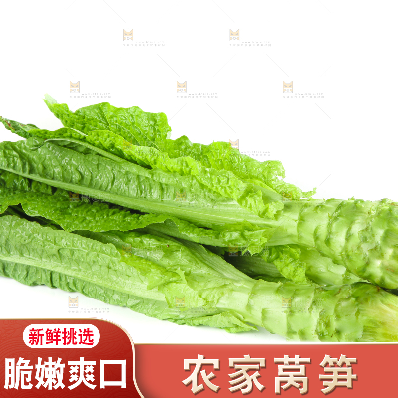 白底上的新鲜莴笋