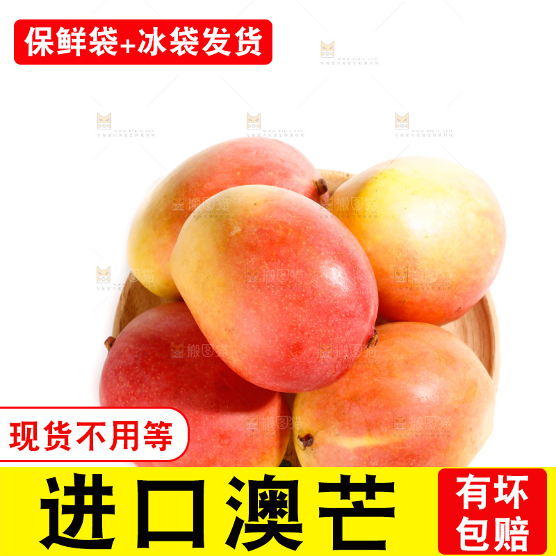 白底上的澳芒