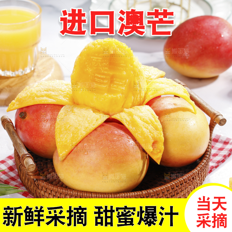 浅底上的澳芒