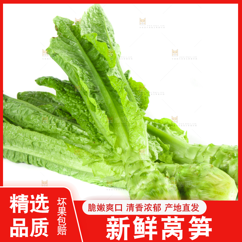 白底上的新鲜莴笋