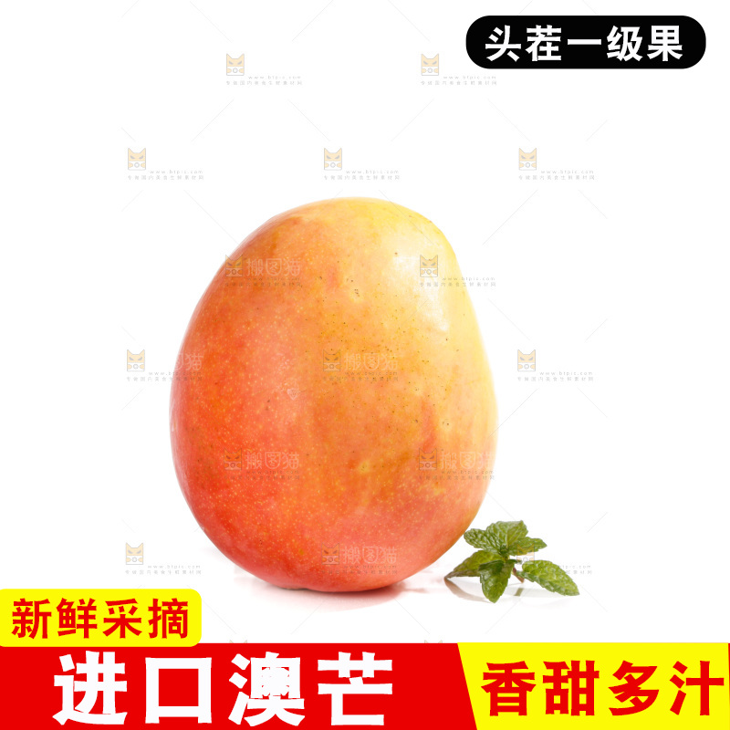 白底上的澳芒