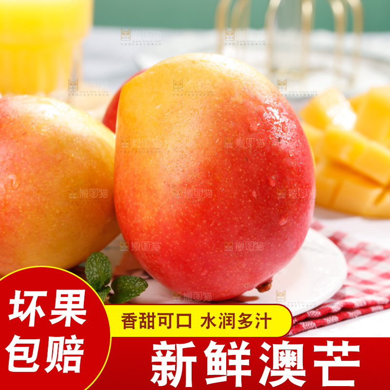 浅底上的澳芒