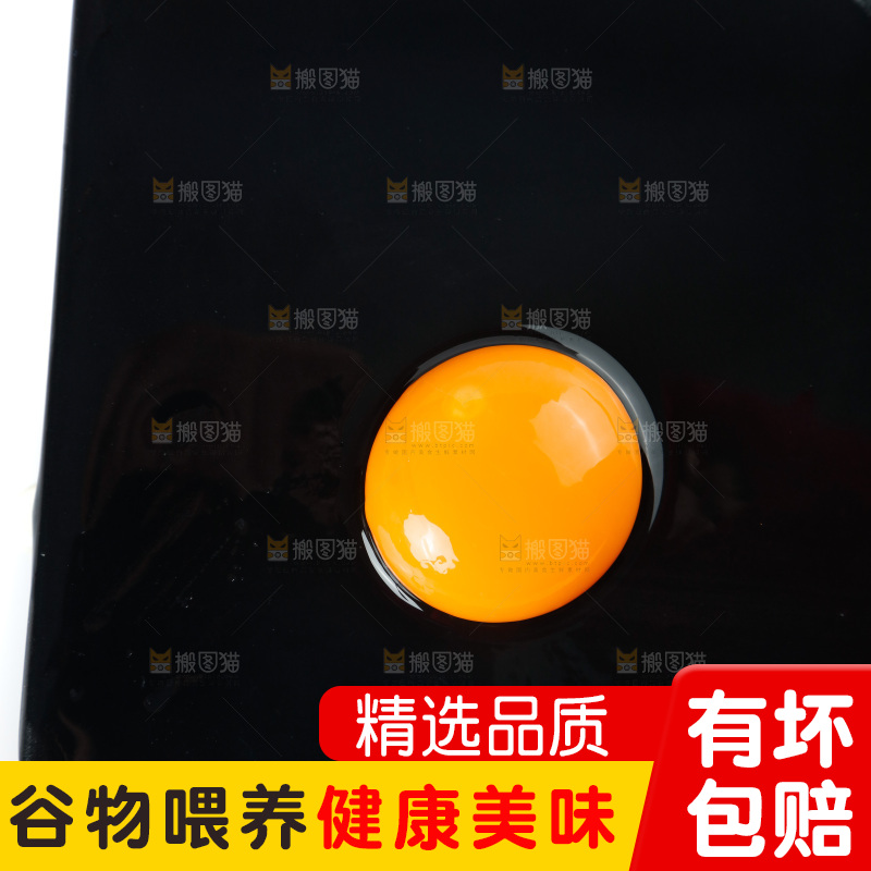 白底上的土鸡蛋