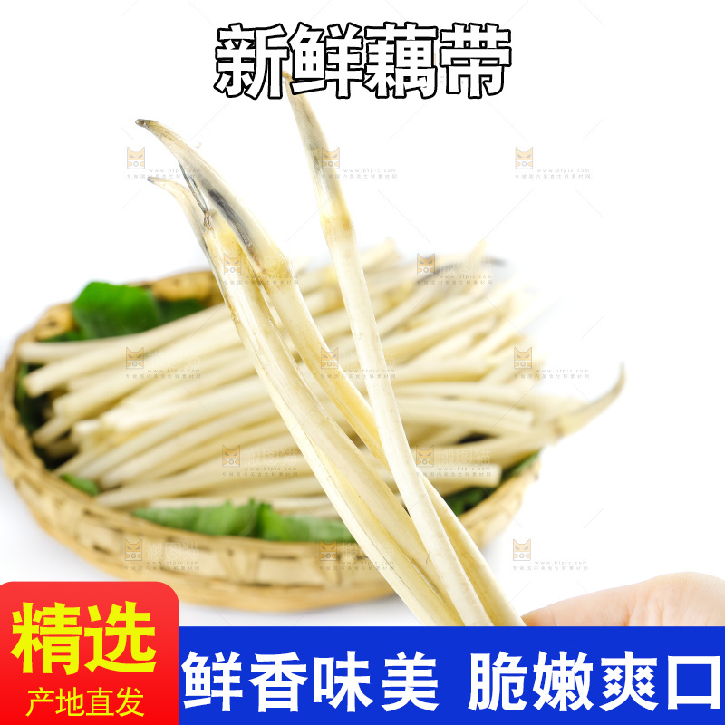 白底上的新鲜藕带