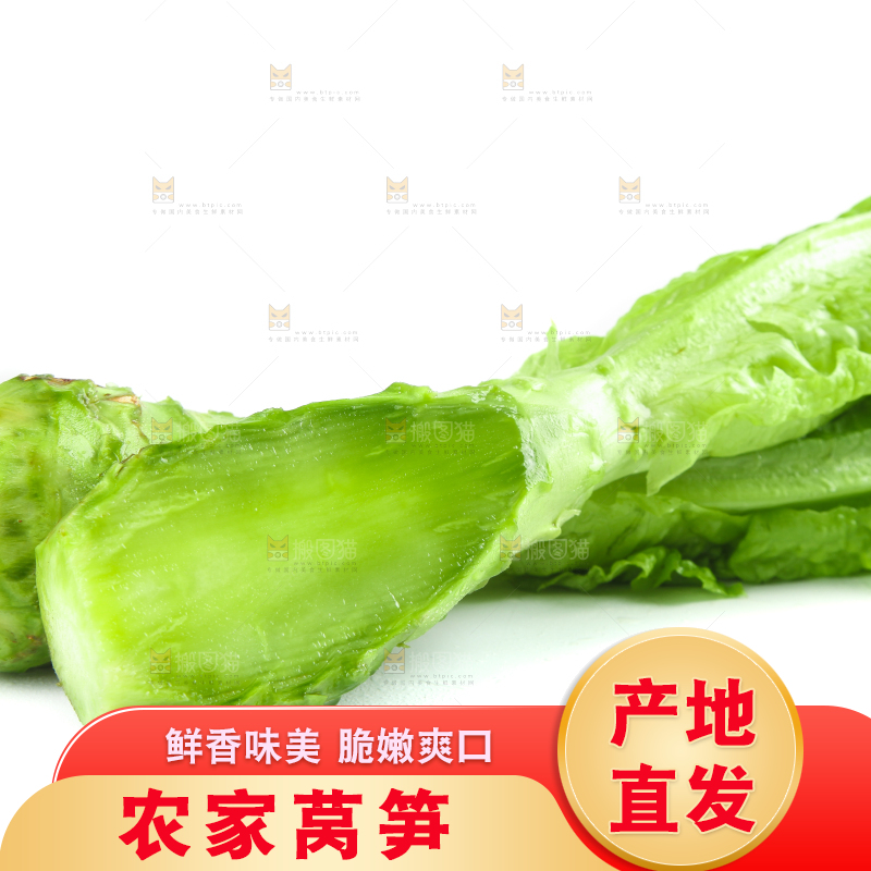 白底上的新鲜莴笋