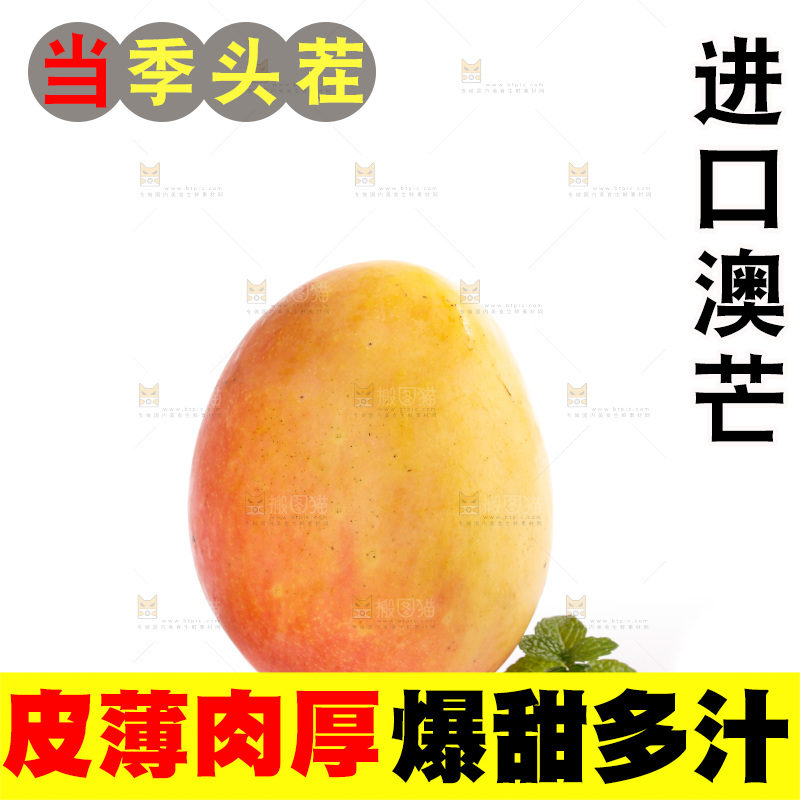 白底上的澳芒