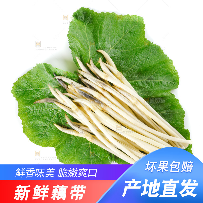 白底上的新鲜藕带
