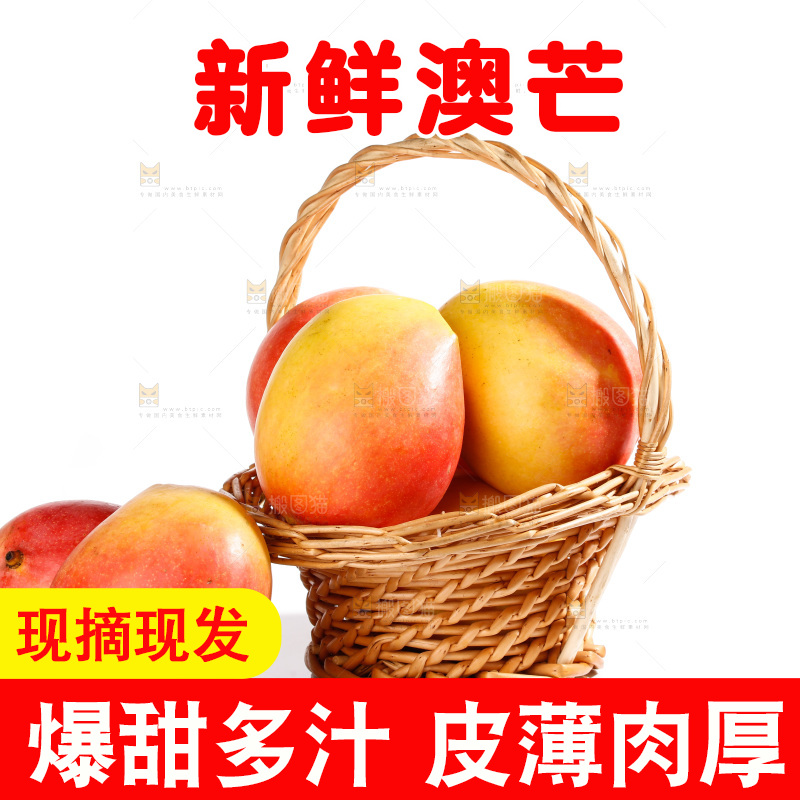 白底上的澳芒