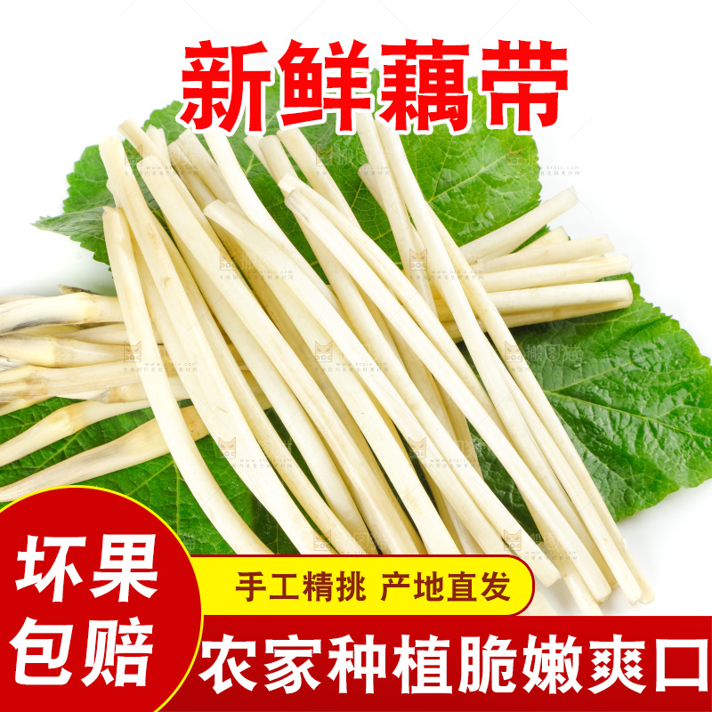 白底上的新鲜藕带