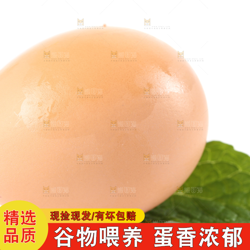 白底上的土鸡蛋