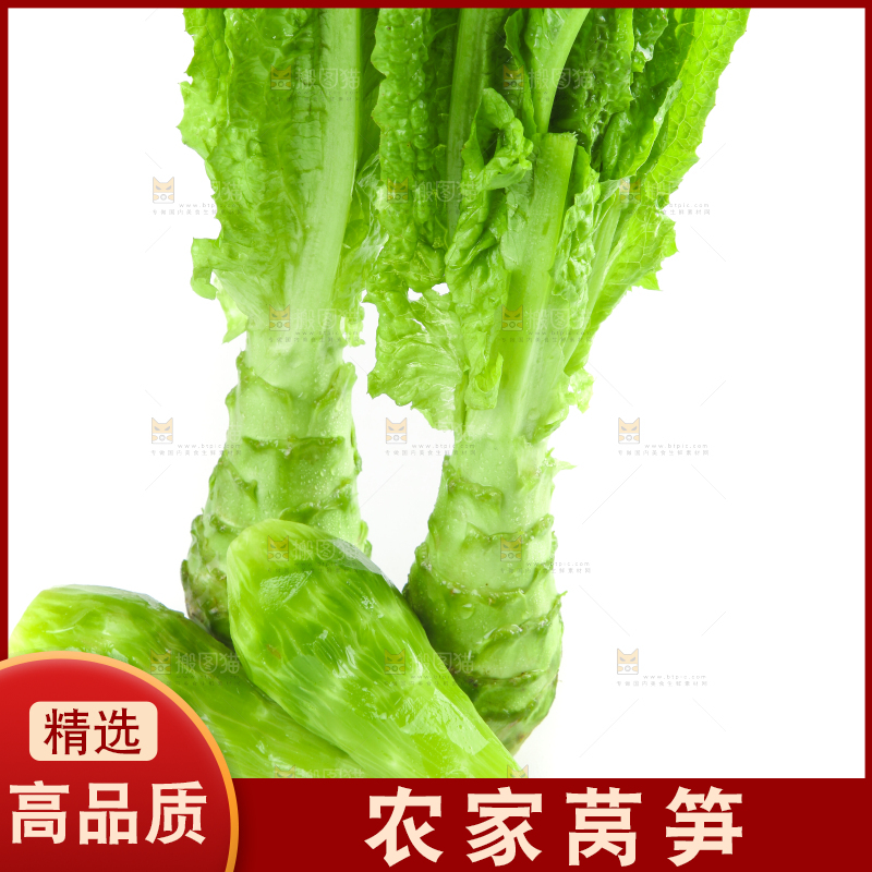 白底上的新鲜莴笋