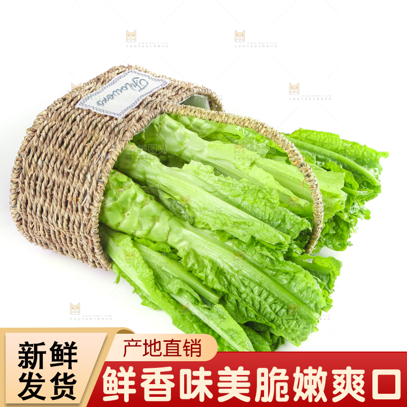 白底上的新鲜莴笋