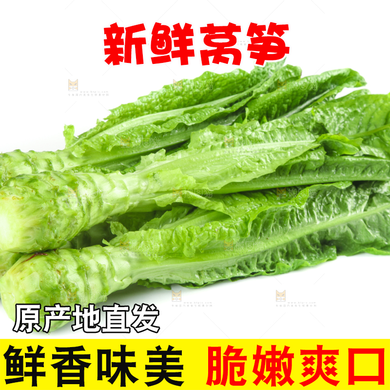 白底上的新鲜莴笋