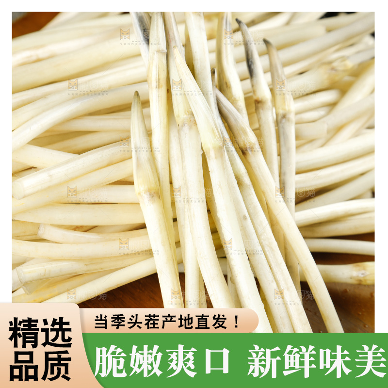 深底上的藕带
