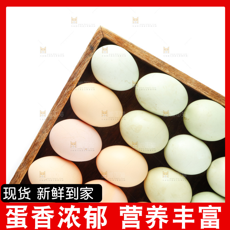 白底上的土鸡蛋