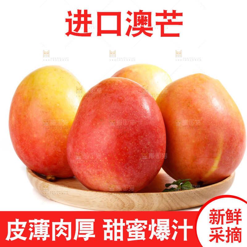 白底上的澳芒