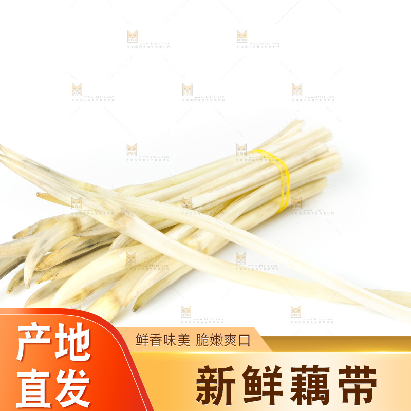 白底上的新鲜藕带
