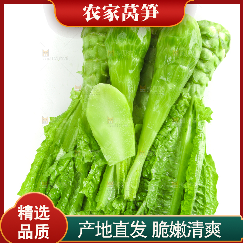 白底上的新鲜莴笋