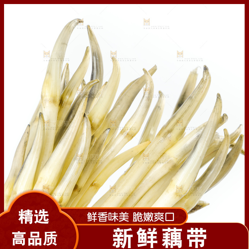 白底上的新鲜藕带