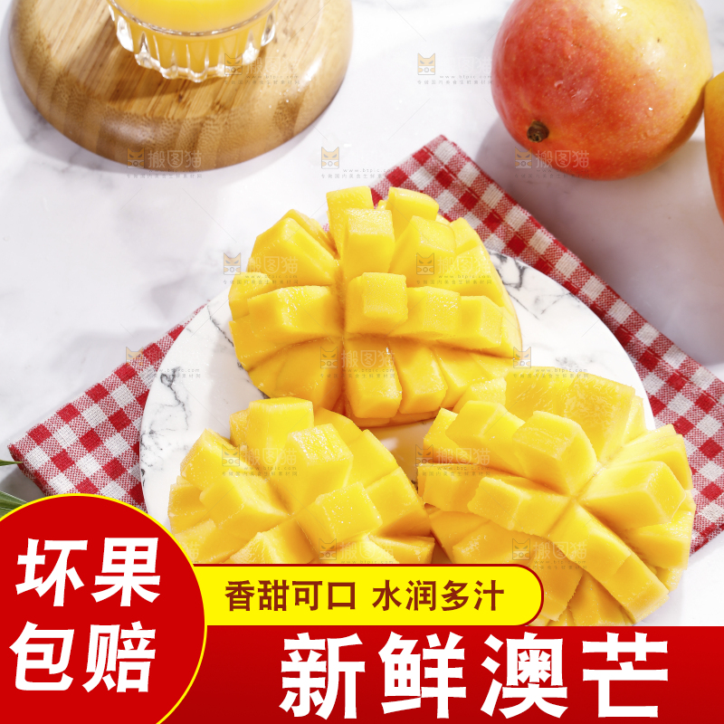 浅底上的澳芒
