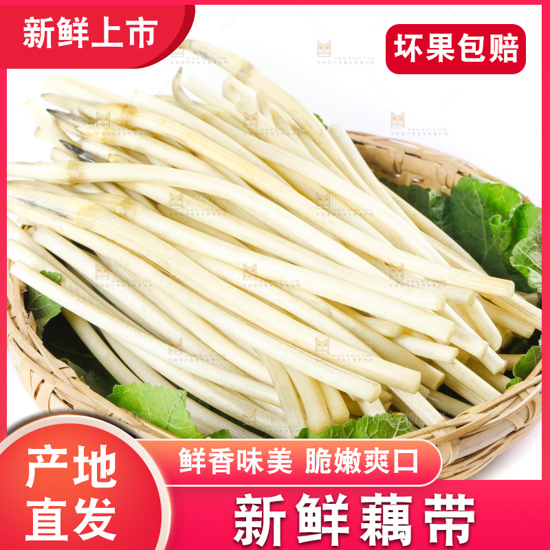 白底上的新鲜藕带