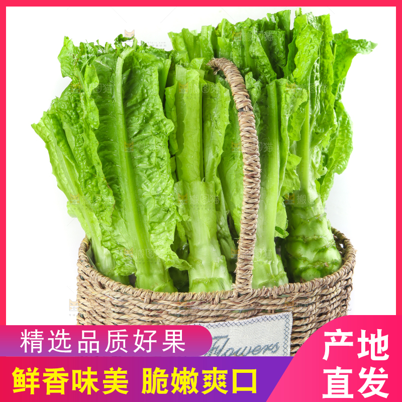 白底上的新鲜莴笋
