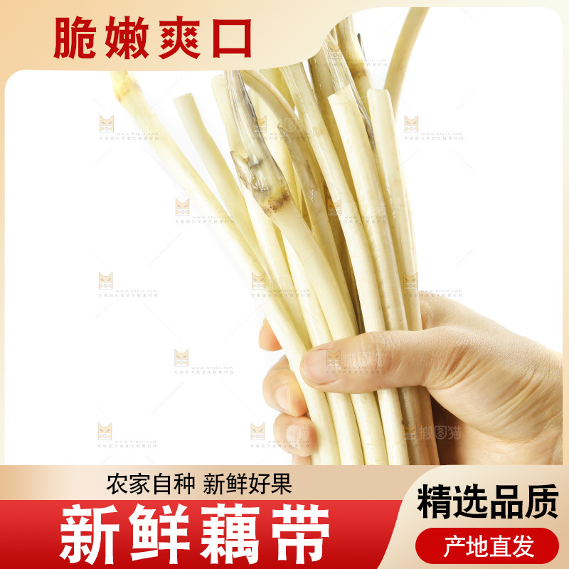 白底上的新鲜藕带