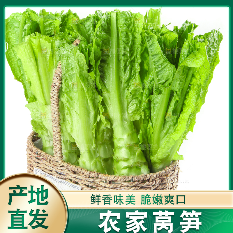 白底上的新鲜莴笋