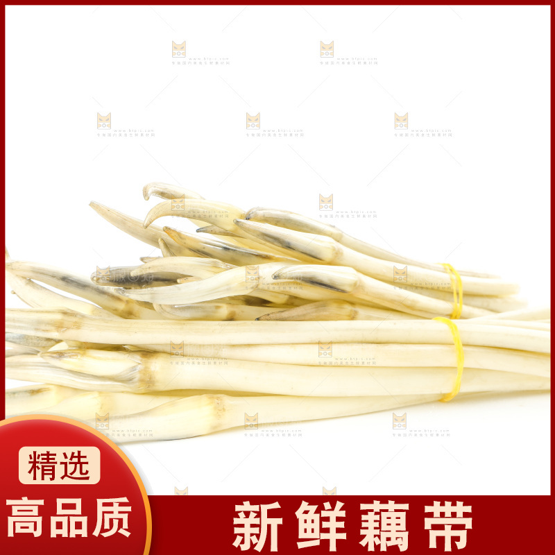 白底上的新鲜藕带
