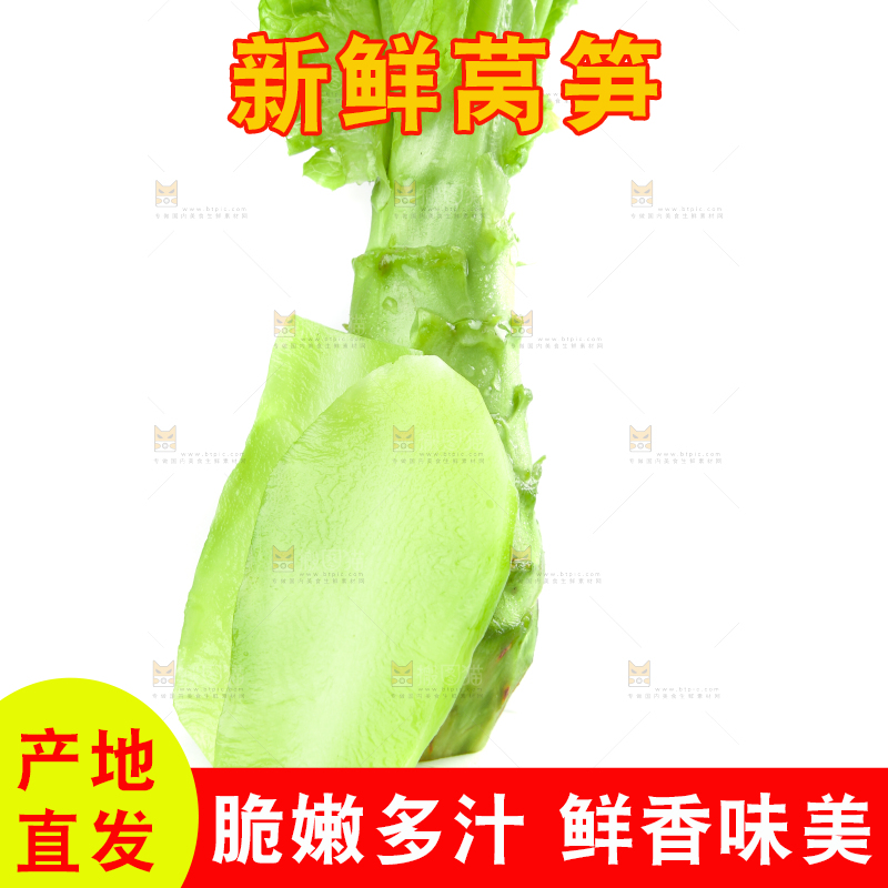 白底上的新鲜莴笋