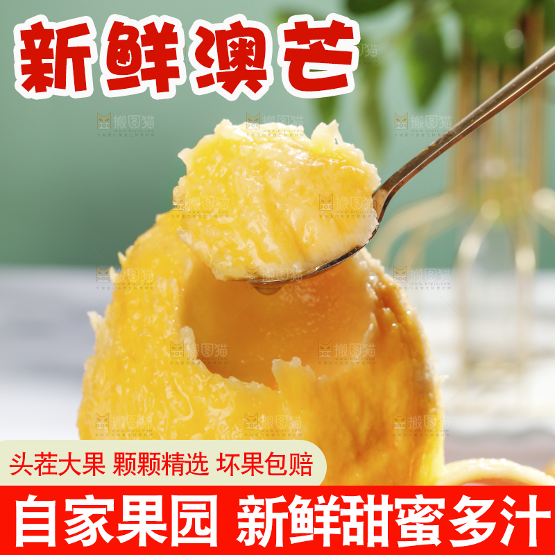 浅底上的澳芒