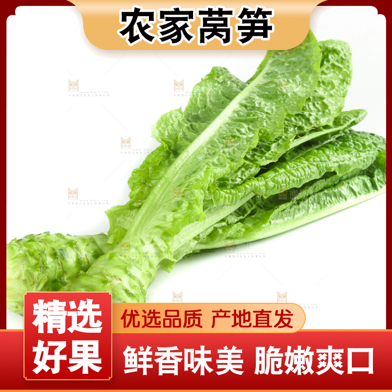 白底上的新鲜莴笋