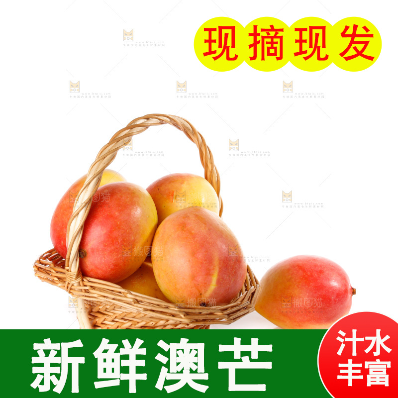 白底上的澳芒
