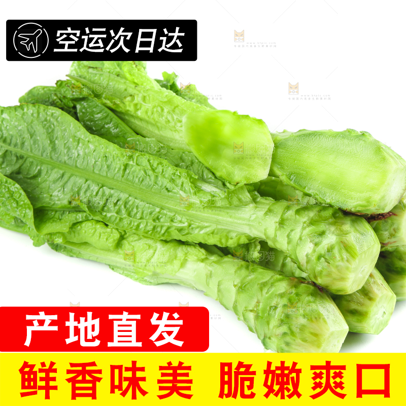 白底上的新鲜莴笋