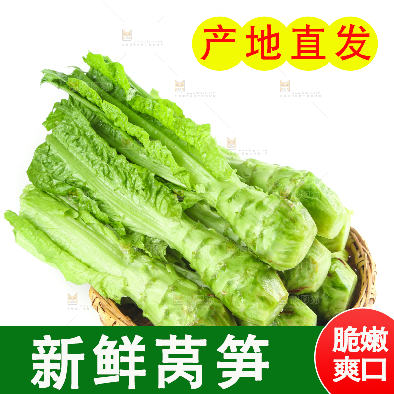 白底上的新鲜莴笋