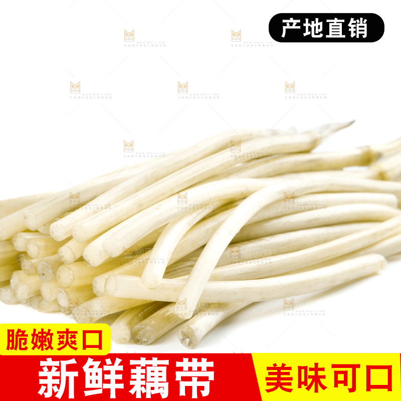 白底上的新鲜藕带