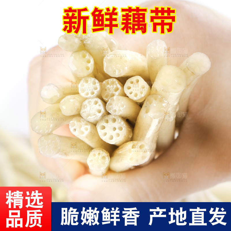 白底上的新鲜藕带
