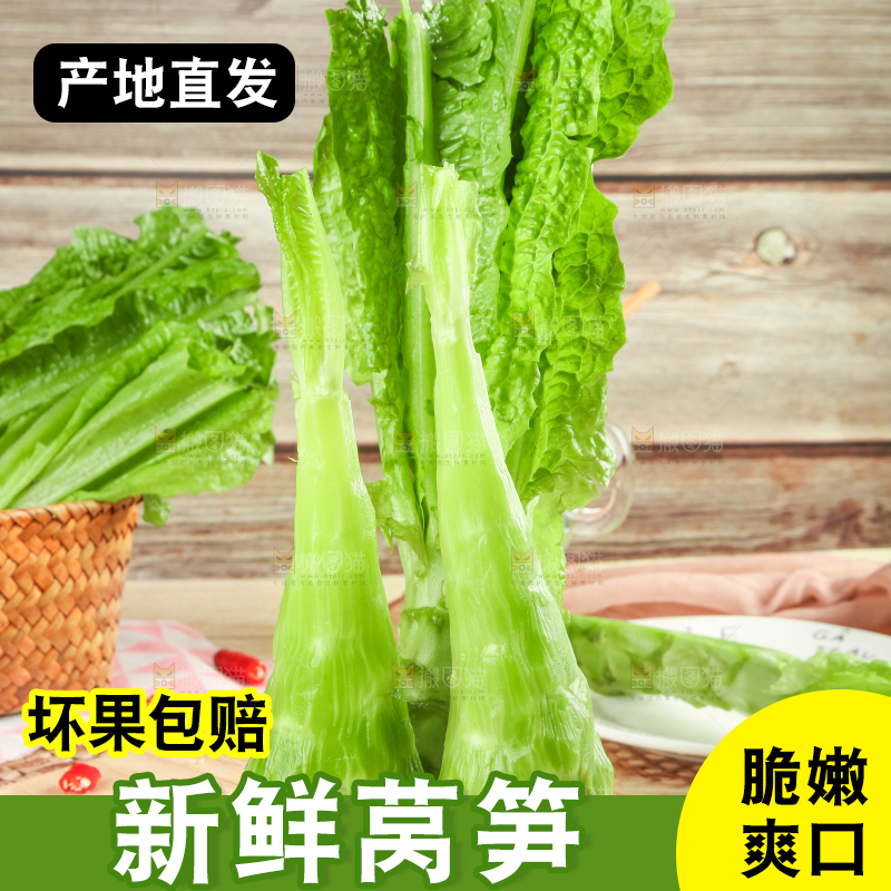 浅底上的莴笋