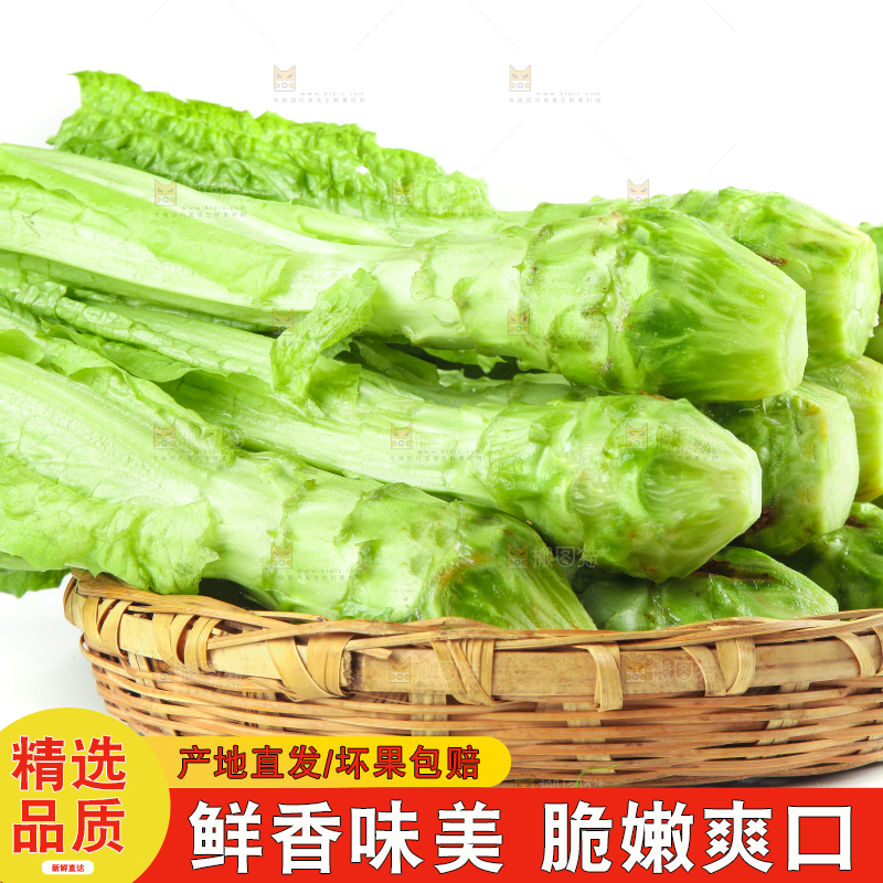 白底上的新鲜莴笋