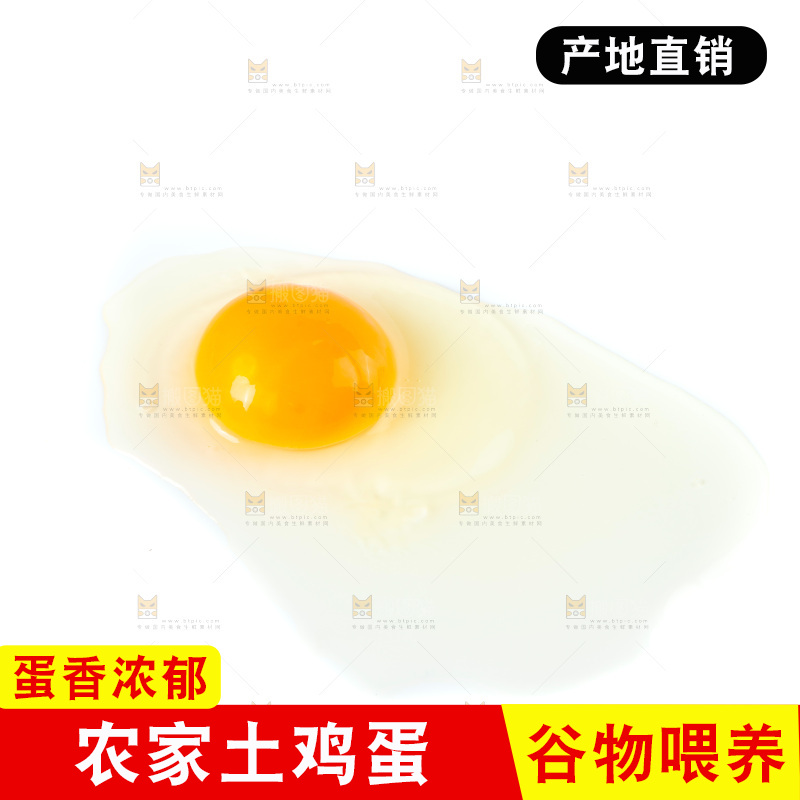 白底上的土鸡蛋