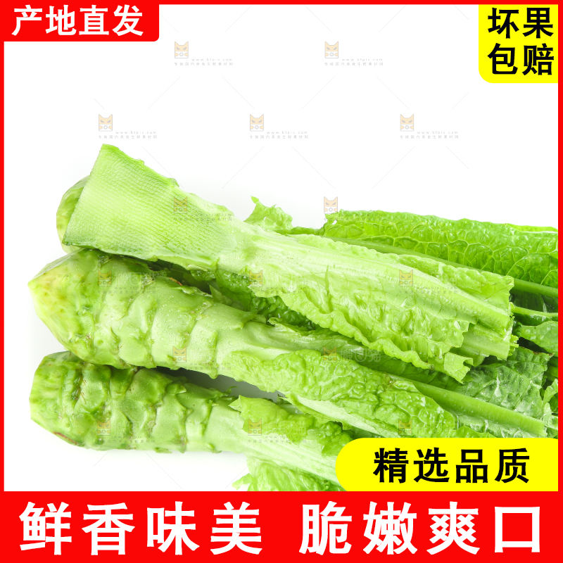 白底上的新鲜莴笋