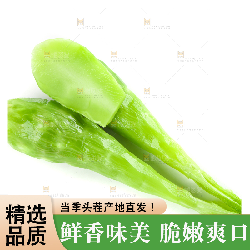白底上的新鲜莴笋